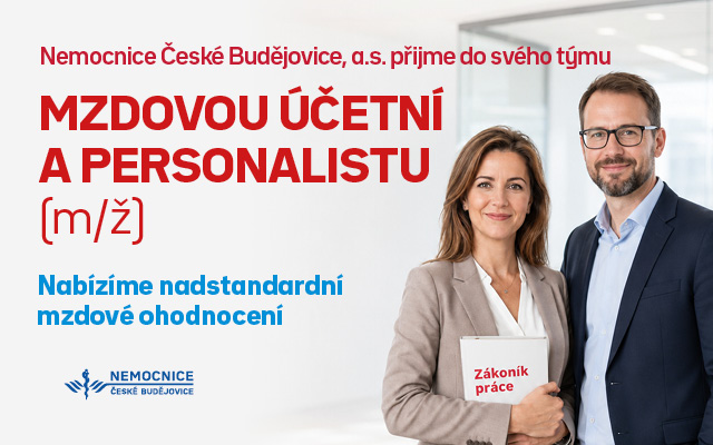 NEMCB_Mzdová účetní_web.jpg (102 KB)