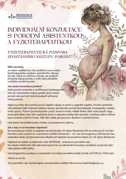 Plakat konzultace fyzio.jpg (202 KB)