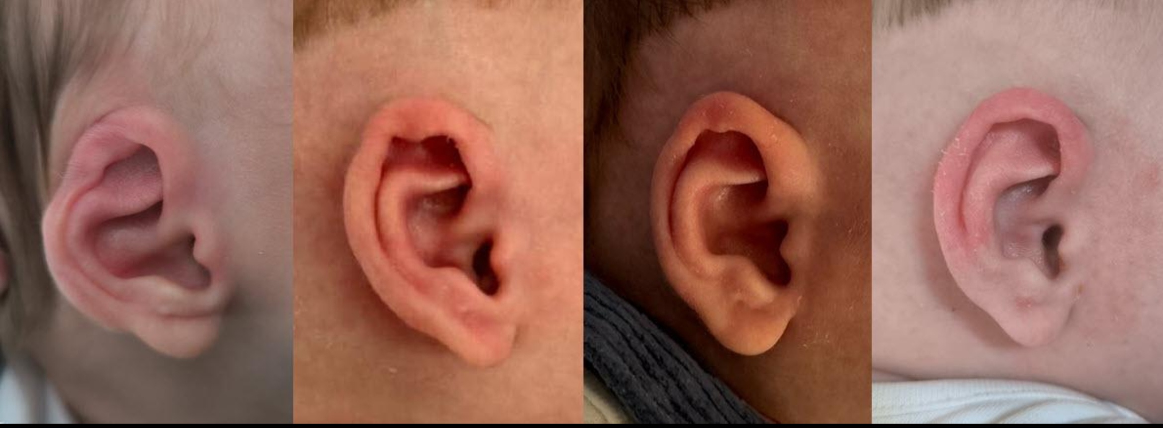 NEO_Foto 4.jpg (264 KB)